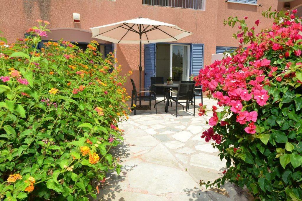 Limnaria Villas Sunny Garden Apartment Paphos Exteriér fotografie